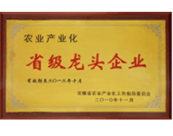 农业产业化省级龙头企业